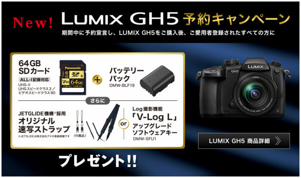 LUMIX DC-GH5 シャッター数313回 V-log済 LUMIX DC-GH5 シャッター数313回 V-log済 ズームレンズ付き